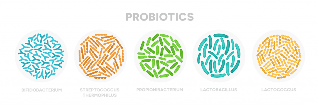Probiotics for Heartburn & GERD